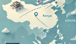 Which Chinese Airlines Operate Direct Flights to Sub-Saharan African Countries